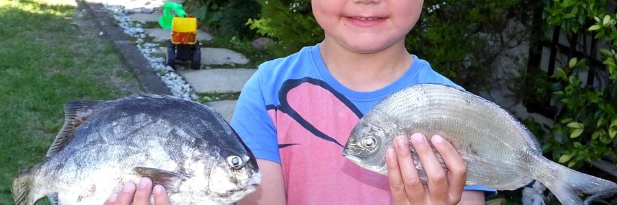 Micah van Zyl (6) is sommer baie trots op sy heel eerste eetvis wat hyself naby Pearly Beach gevang het, ‘n Kolstert (regs). Die galjoen (links) is deur sy pa, Nikey van Zyl gevang. Micah is die seun van Nikey en Michelle van Zyl van Wellington en sy trotse grootouers is Francois en Deonora de Jongh, eienaars van Gansbaai Courant.